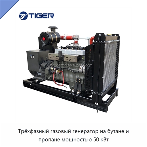 Трёхфазный газовый генератор на бутане и пропане мощностью 50 кВт