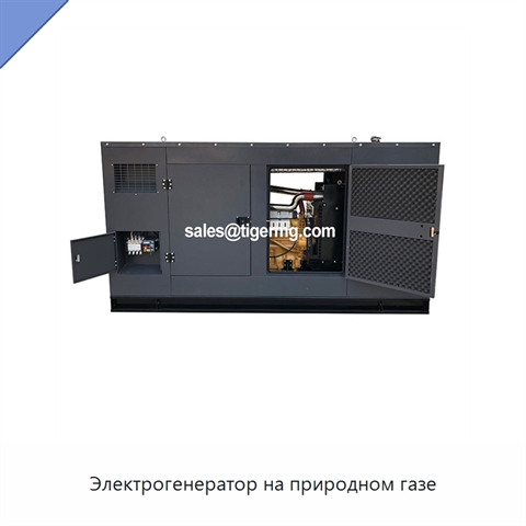 Электрогенератор на природном газе