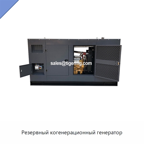 Резервный когенерационный генератор