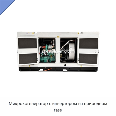 Микрокогенератор с инвертором на природном газе