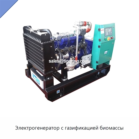 Электрогенератор с газификацией биомассы