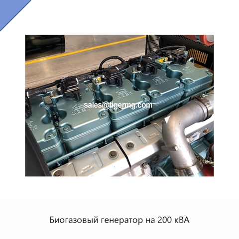 Биогазовый генератор на 200 кВА
