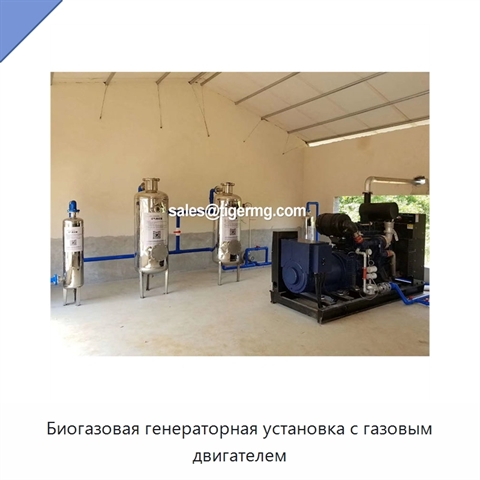 Биогазовая генераторная установка с газовым двигателем