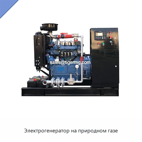 Электрогенератор на природном газе