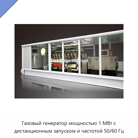 Газовый генератор мощностью 1 МВт с дистанционным запуском и частотой 50/60 Гц