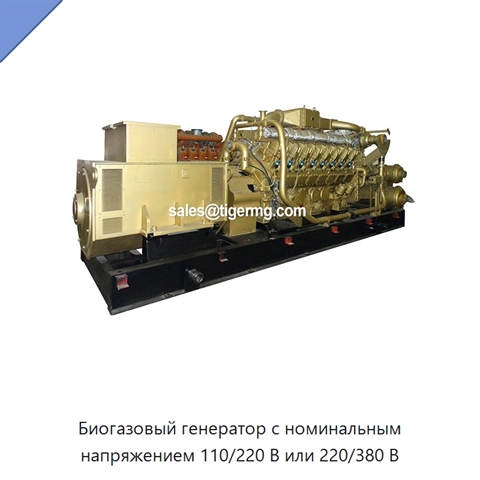 Биогазовый генератор с номинальным напряжением 110/220 В или 220/380 В