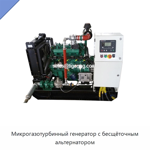 Микрогазотурбинный генератор с бесщёточным альтернатором