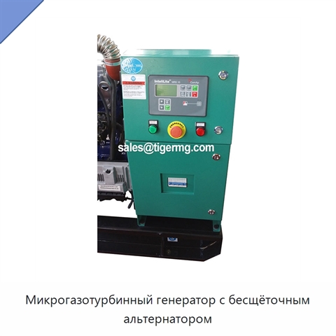 Микрогазотурбинный генератор с бесщёточным альтернатором