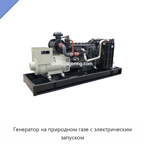 Генератор на природном газе с электрическим запуском