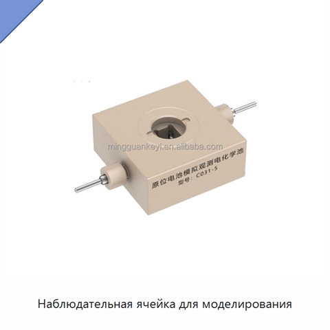 Наблюдательная ячейка для моделирования