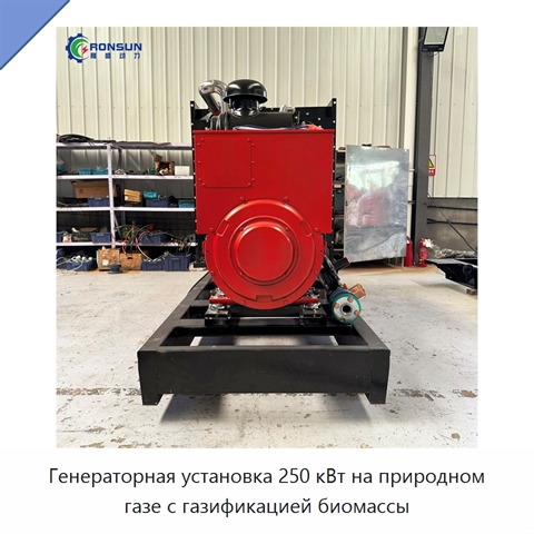 Генераторная установка 250 кВт на природном газе с газификацией биомассы