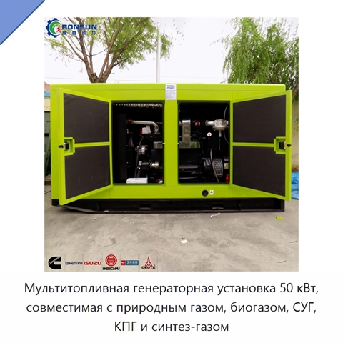 Мультитопливная генераторная установка 50 кВт, совместимая с природным газом, биогазом, СУГ, КПГ и синтез-газом