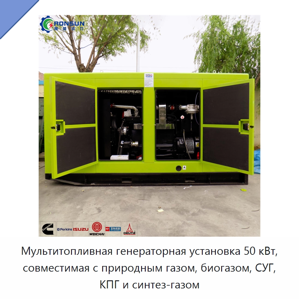 Мультитопливная генераторная установка 50 кВт, совместимая с природным газом, биогазом, СУГ, КПГ и синтез-газом — Газогенераторное оборудование
